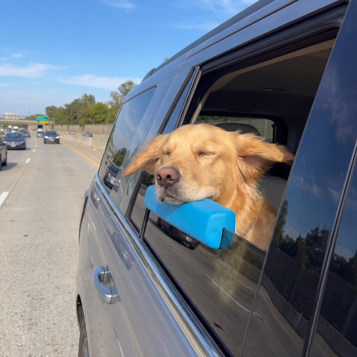 Dog Car Window Pillow — Safe Ride Armrest