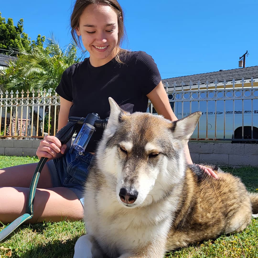 Dog Shampoo Spray Head Attachment