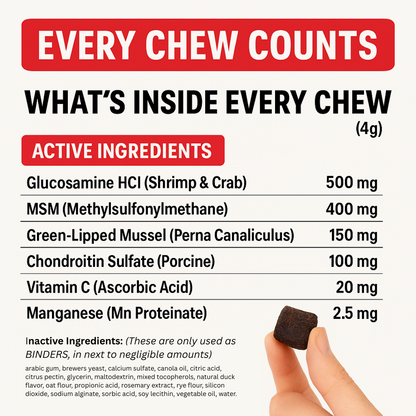 Hip & Joint Chews for Dogs — Mobility Support
