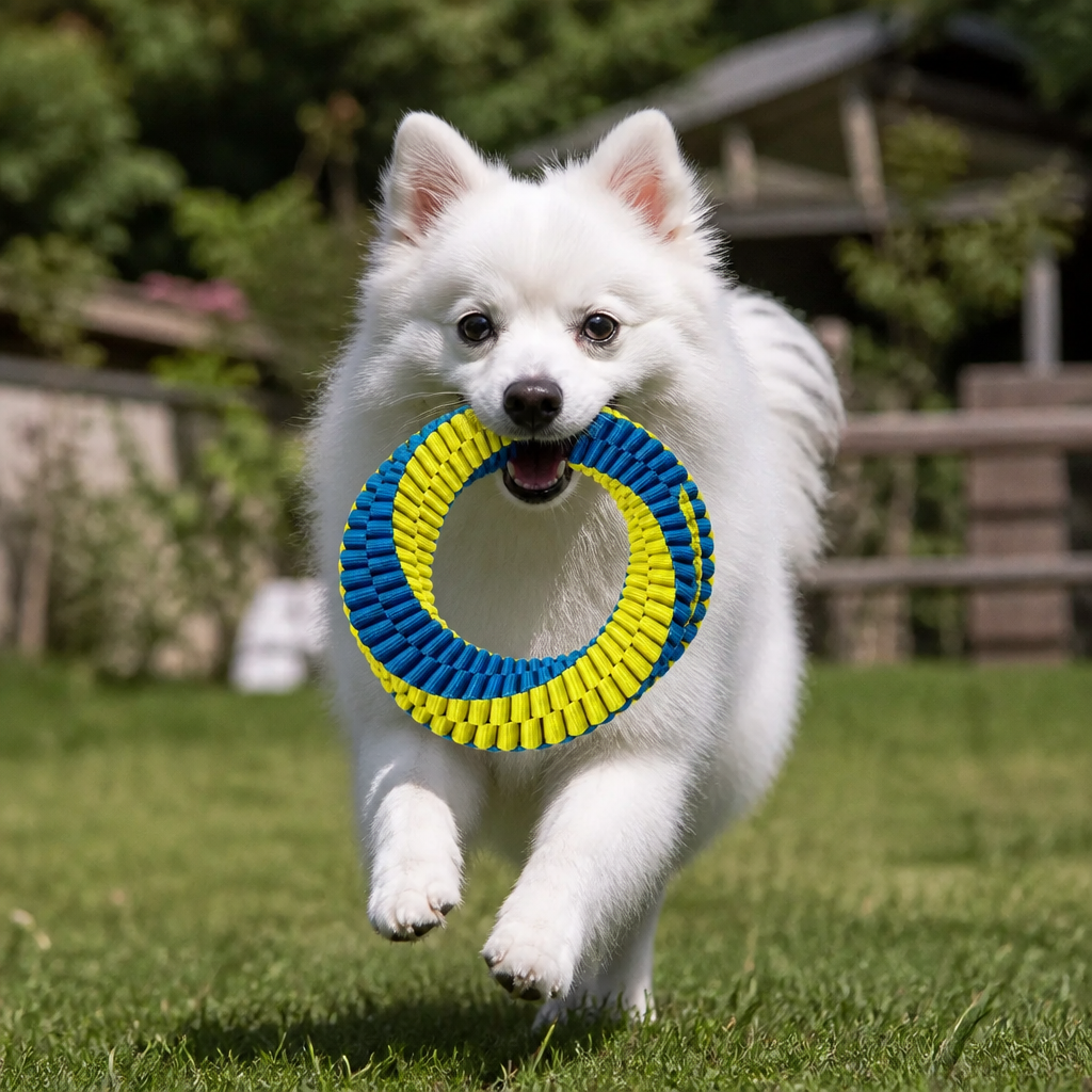 Durable Woven Ring Tug & Chew Toy for Dogs