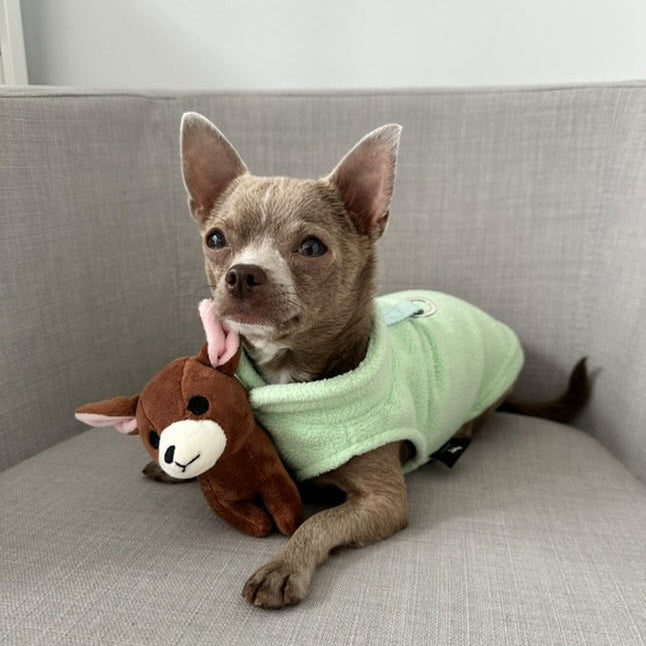 Dog Fleece Sweater with Leash Ring