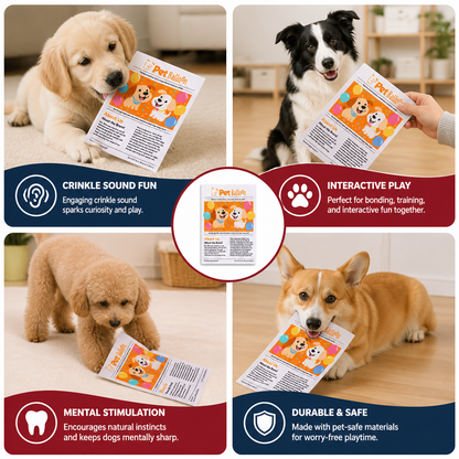 Durable Interactive Crinkle Newspaper Dog Toy