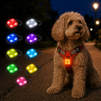 USB-C Rechargeable LED Clip-On Pet Safety Light for Night Walks