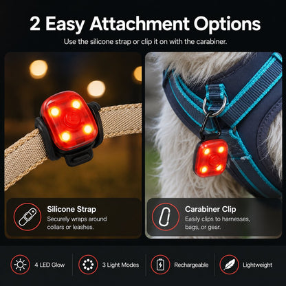 USB-C Rechargeable LED Clip-On Pet Safety Light for Night Walks