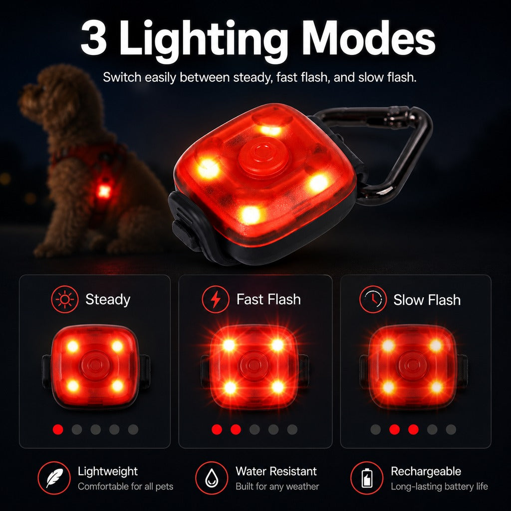 USB-C Rechargeable LED Clip-On Pet Safety Light for Night Walks