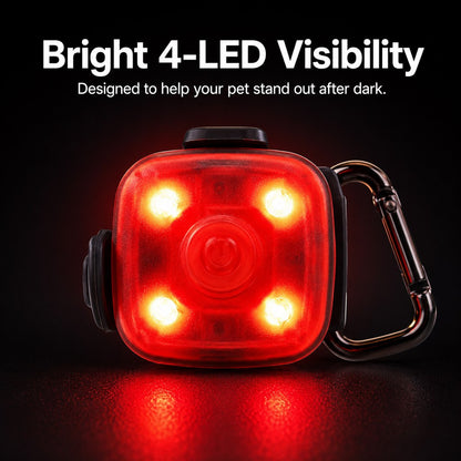 USB-C Rechargeable LED Clip-On Pet Safety Light for Night Walks
