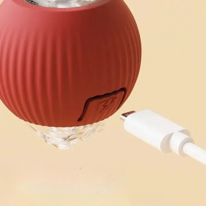 Interactive Rolling Ball Dog Toy — Motion-Activated Chase Toy