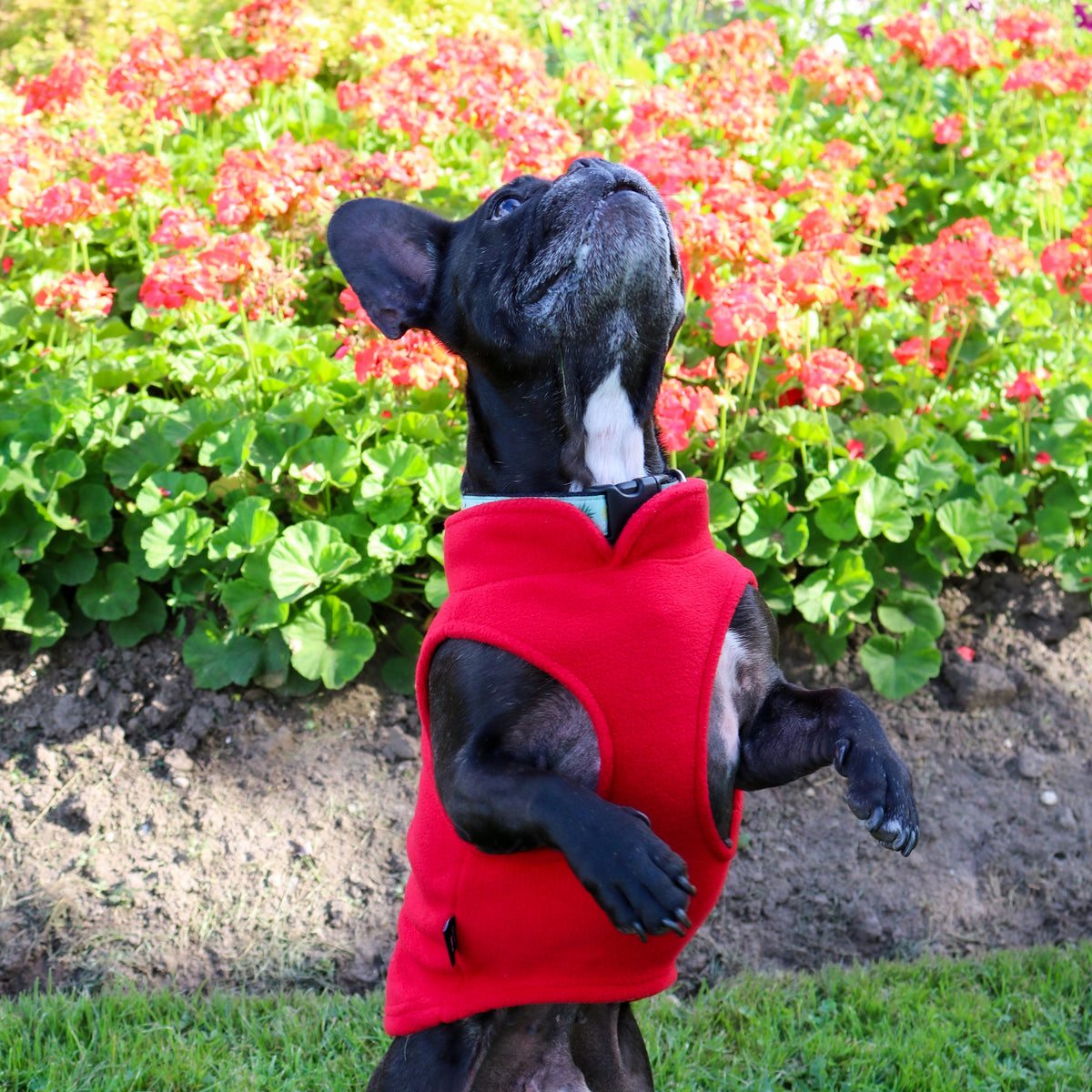Dog Fleece Sweater with Leash Ring