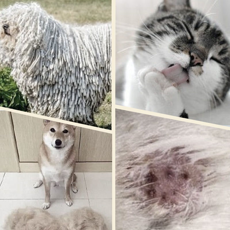 Double-Sided Dematting Brush for Pets