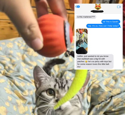Snootkin Smart Interactive Cat Ball Toy - Self-Moving Teaser