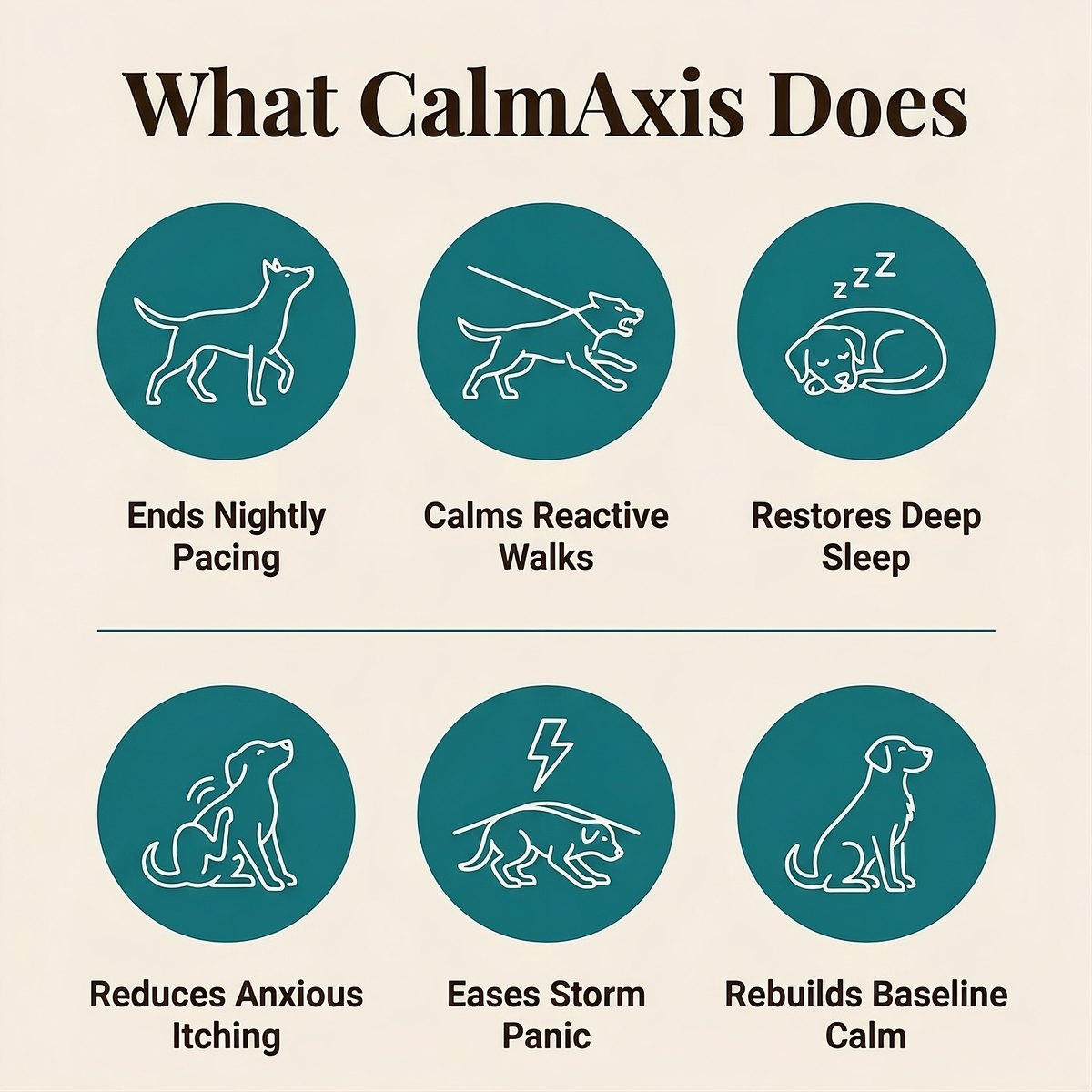 Calming Chews for Dogs — Gut-Brain, Anxiety Support