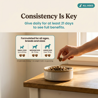 Calming Chews for Dogs — Gut-Brain, Anxiety Support